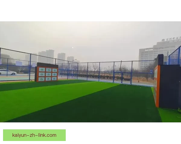 开云体育入口全面升级体验打造安全便捷运动娱乐平台